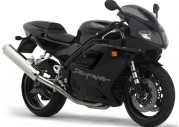Triumph Daytona 955i Triumph Daytona 955i